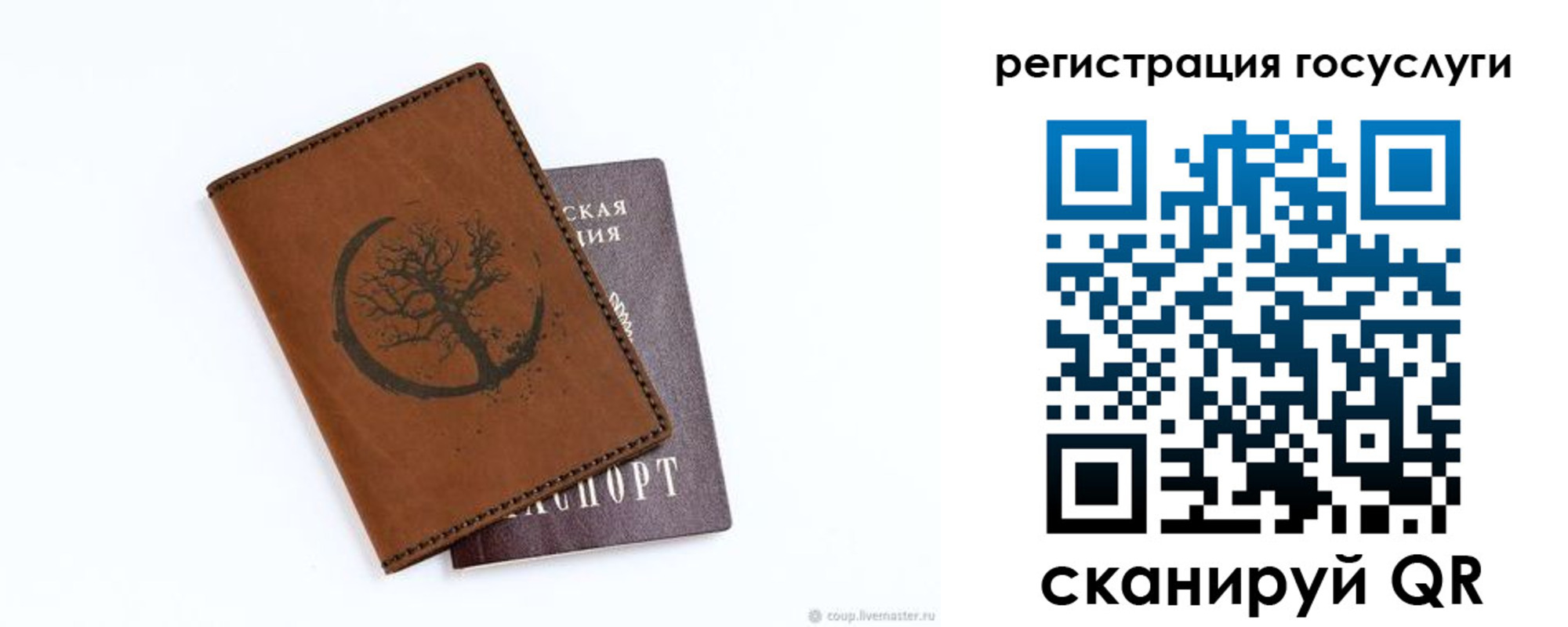 прописка для школы в Дубовке